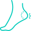 https://www.triaxisclinic.com/wp-content/uploads/2025/02/human-1.png