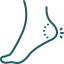 human https://www.triaxisclinic.com/wp-content/uploads/2025/02/human.png